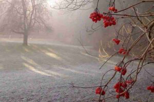 Ostrzeżenie przed lodem i marznącą mgłą w związku ze spadkiem temperatury